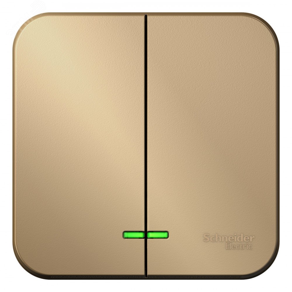 Изображение товара Двухклавишный наружный выключатель Blanca 250В 10А титан Systeme Electric