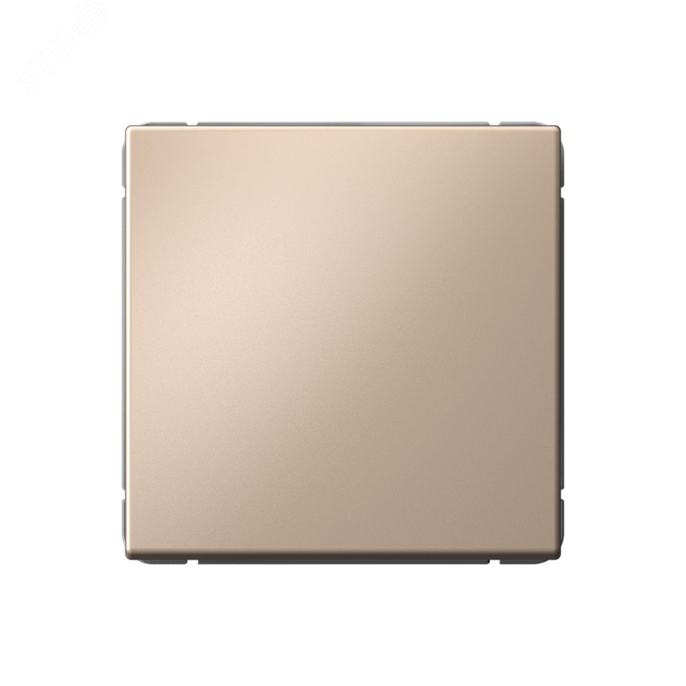 Изображение товара ARTGALLERY 1-клавишный переключатель песочный 10А СССР33-ТР