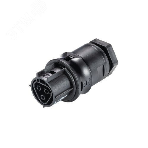 Изображение товара Розеточный разъем Wieland Electric RST20I3S B1 M00 SW IP68/IP69K 3 полюса Изображение товара Розеточный разъем Wieland Electric RST20I3S B1 M00 SW IP68/IP69K 3 полюса