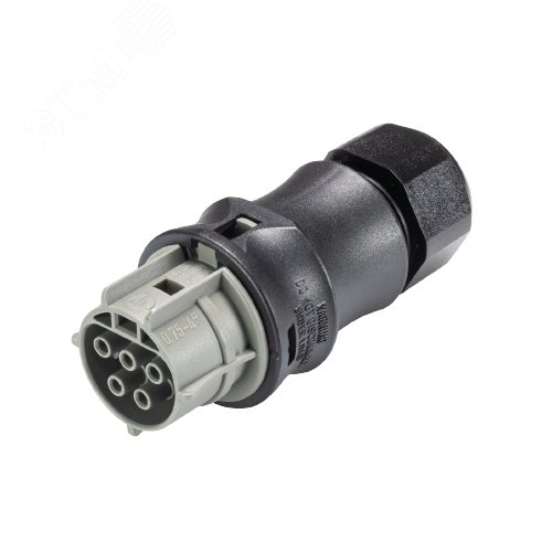 Изображение товара Розеточный разъем на кабель RST25I5S B1 ZR2S BG03 (шт)