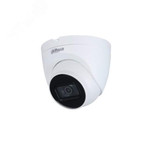 Изображение товара Видеокамера IP 2Мп купольная уличная IP67 ИК-30м с PoE (2.8мм) (шт)