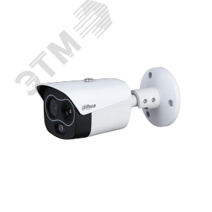 Изображение товара Видеокамера IP тепловизионная ИК-30мм ИИ PoE (4мм) (шт)