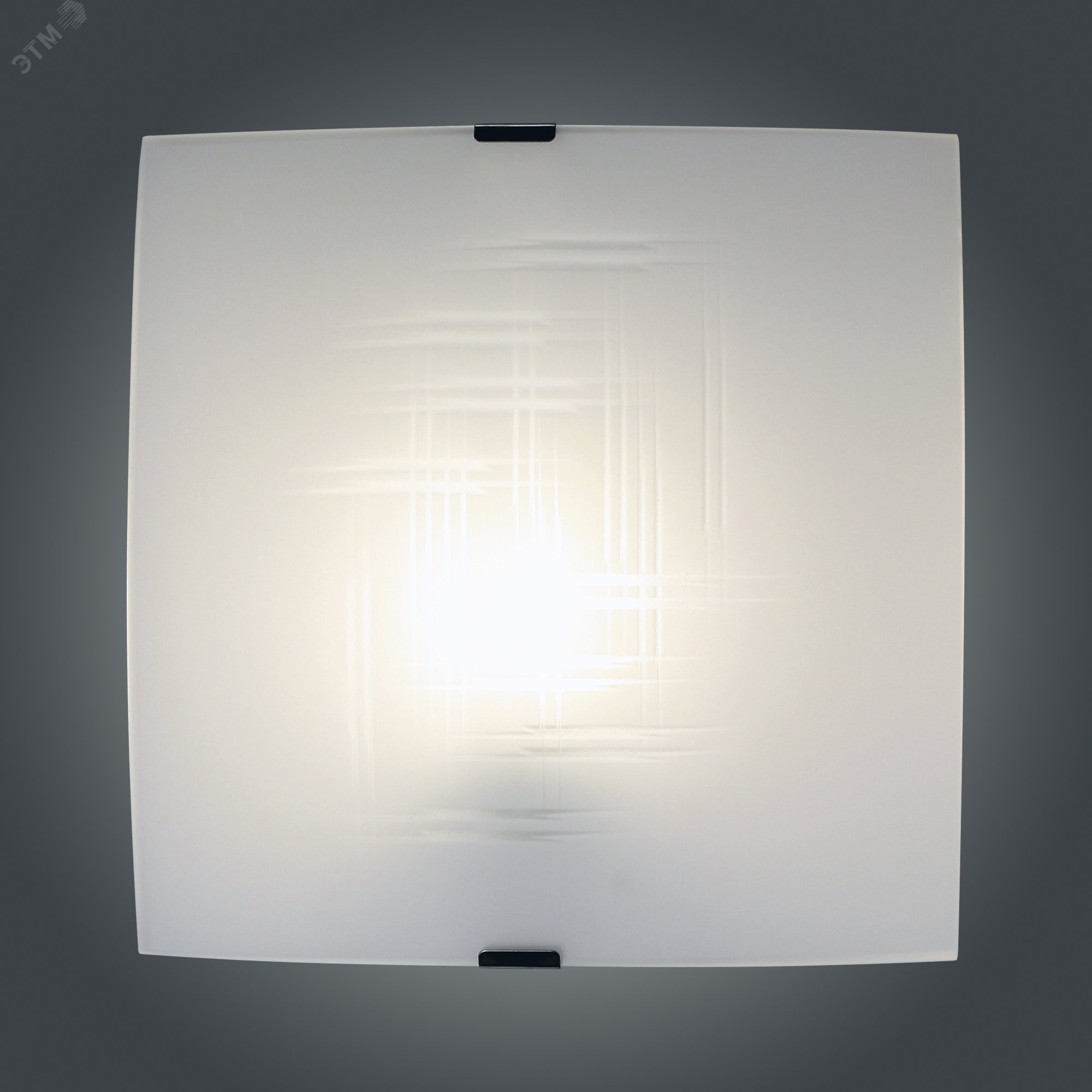 Светильник НПБ-09-60-003 М83 Элегант матовый белый клипсы штамп металлик ИУ 1005205729 Элетех - превью 5