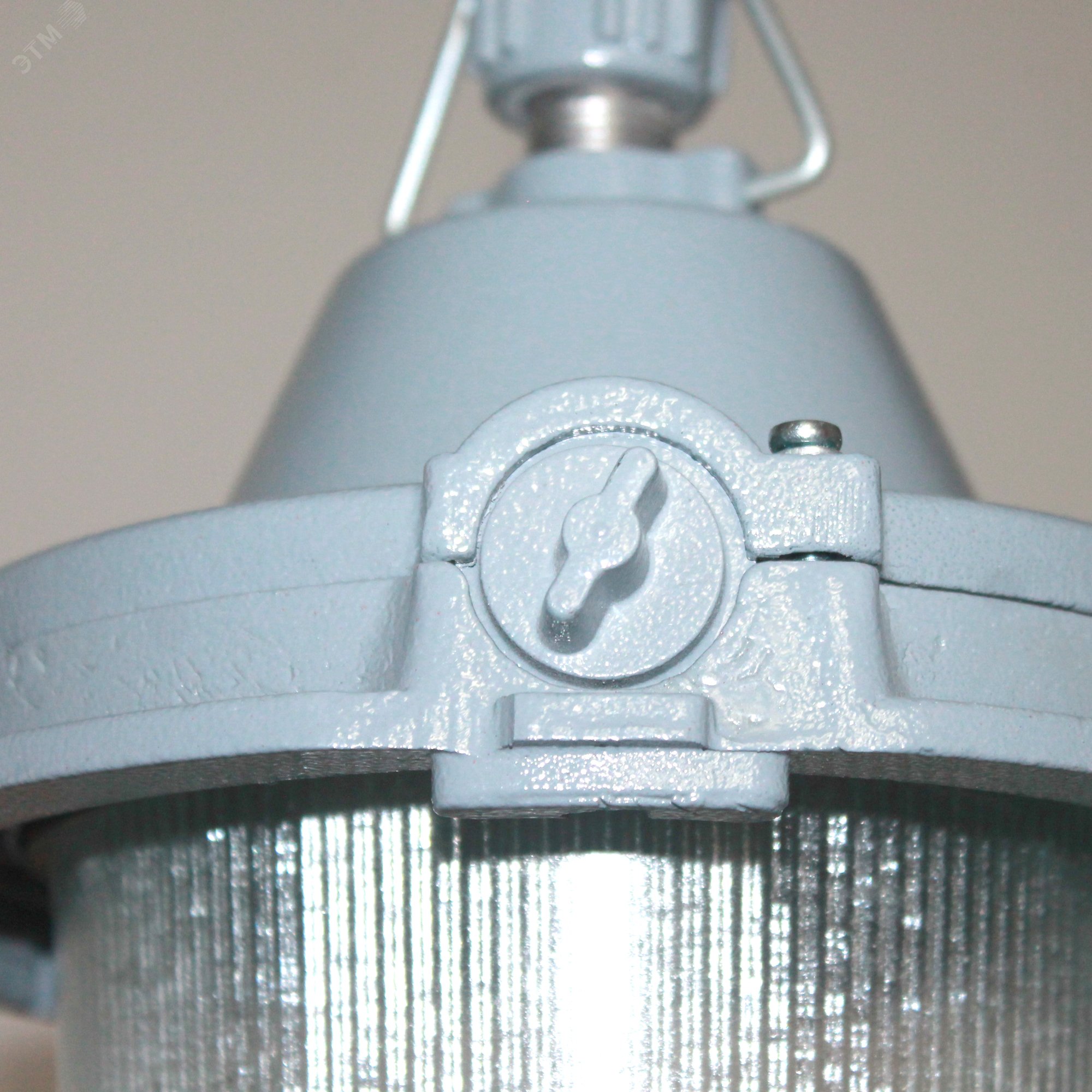 Светильник НСП-11-100-434 подвесной на крюк/трубу IP62 1005550287 Элетех - превью 3