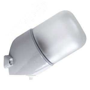 Изображение товара Светильник НББ-19-60-002 IP65 Линда 110 наклонный серый (шт)