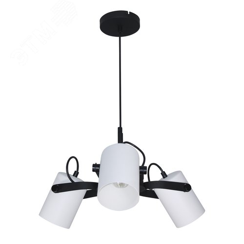 Изображение товара Светильник подвесной Гамма 231 черн.бел.муар. НСБ 01-3х60-178 Е27 (упак)