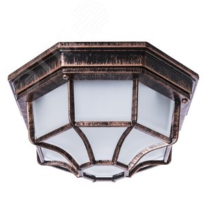 Изображение товара Светильник Тартаруга НПП 03-100-005 IP44 матовый /корпус с решеткой медь ИУ (шт)