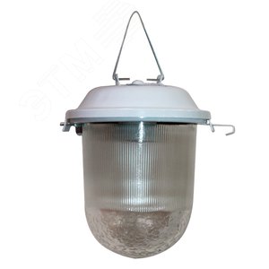 Светильник НСП 02-100-001 IP52 Желудь А корпус серый (1005550305)