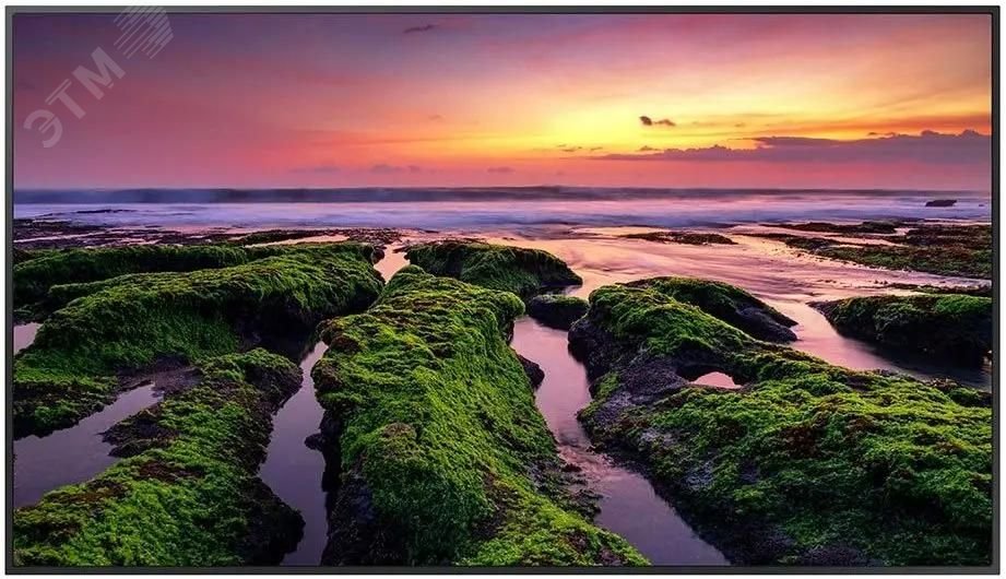 Изображение товара Профессиональный дисплей Samsung QB75B 75 дюймов 4K