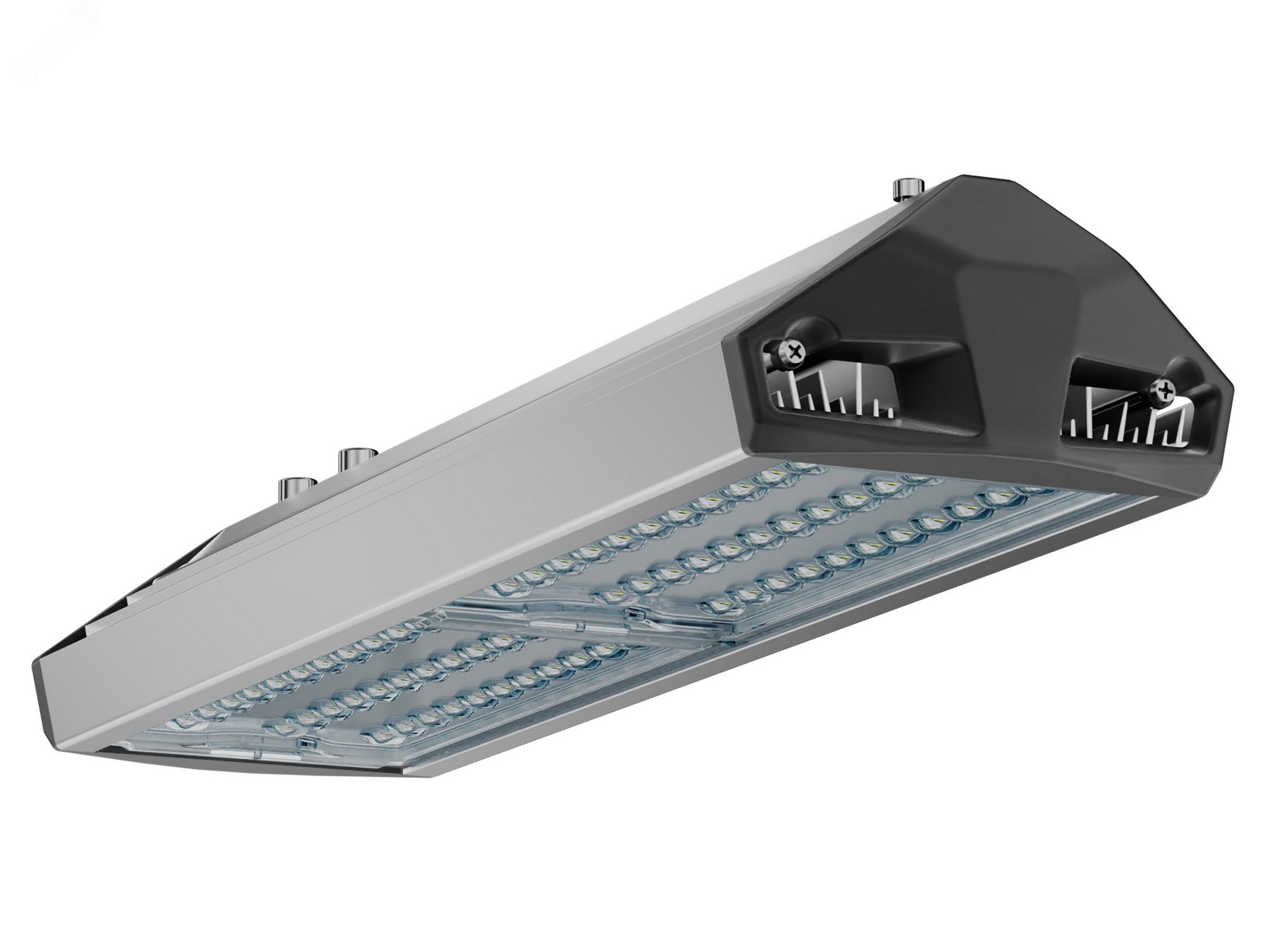 Изображение товара Уличный светильник ЕСАУЛ ДКУ-100 750 ШБ для улиц и парков 100 Вт