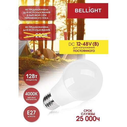 Лампа светодиодная LED A60 Е27 12W 12-48вольт 4000К - фото 2