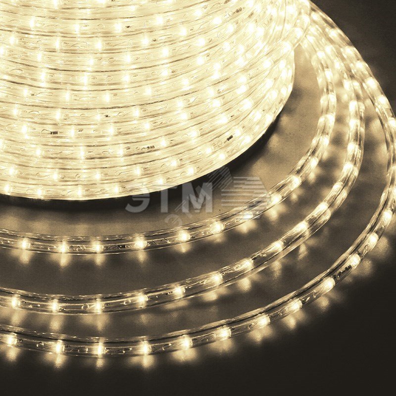 Дюралайт LED, постоянное свечение 2 W - тёплый белый Эконом 24 LED/м, 100 м 121-126-4 Neon-Night