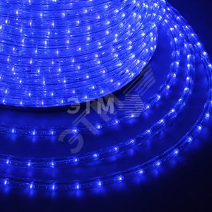 Дюралайт LED, постоянное свечение 2W - синий, 24 LED/м, 10 мм, 100 м