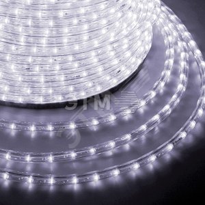 Дюралайт LED, свечение с динамикой 3W - белый Эконом 24 LED/м, 100 м