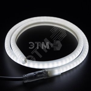 Гибкий неон LED SMD 12х12 мм, форма - D, белый, 120 LED/м, 100 м
