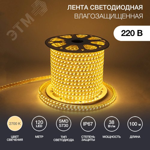 Изображение товара Лента LED уличная 220В, 6.5x17мм, IP67, SMD 5730, 120 LED/м, Теплый белый, 100м (м)