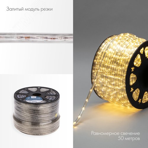 Изображение товара Дюралайт LED, свечение с динамикой 3W - тёплый белый, 24 LED/м, 100 м (м)