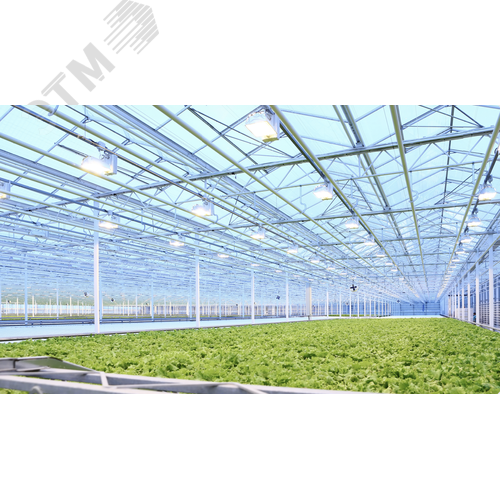 Светильник светодиодный промышленный AGRIS 530 Вт FS 140градx120град 380 В - фото 2