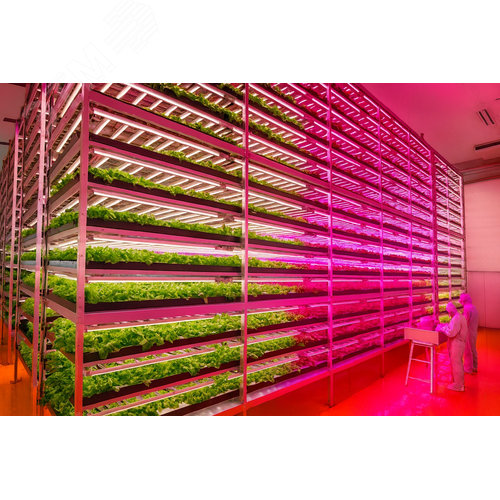 Светильник светодиодный промышленный AGRIS 30 Вт RS 120град TUBE - фото 2