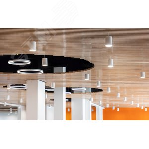 Светильник светодиодный ДСО-12Вт 3000К DL-Roll DALI серый - фото 3