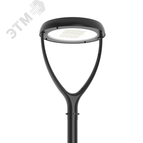 Светильник светодиодный IONIK Astra парк 100 Вт Garden Xtrem 5000К IP66 RAL9005 черный - фото 1