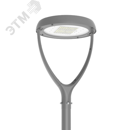 Светильник светодиодный IONIK Astra парк 40 Вт Plaza 4000К IP66 RAL7045 серый DALI - фото 1