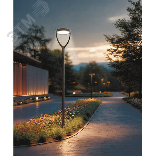 Светильник светодиодный IONIK Astra парк 40 Вт Plaza 4000К IP66 RAL7045 серый DALI - фото 2