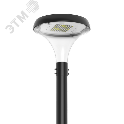 Светильник светодиодный IONIK Crystal парк 40 Вт Urban 4000К IP66 RAL9005 черный DALI - фото 1