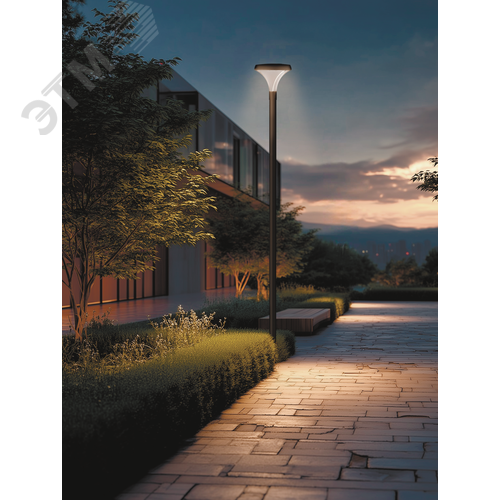 Светильник светодиодный IONIK Crystal парк 40 Вт Urban 4000К IP66 RAL9005 черный DALI - фото 2