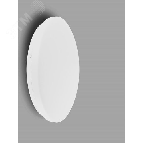 Светильник светодиодный ДБП-21вт IP44 5000К 300х85мм - фото 2