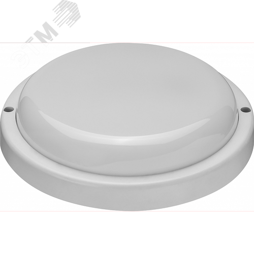 Светильник светодиодный ДБП-20вт OBL-R4-20-6.5K-WH-IP65-LED - фото 2