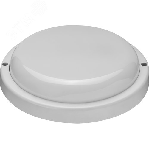 Светильник светодиодный ДБП-15вт OBL-R4-15-4K-WH-IP65-LED-SNRM - фото 2