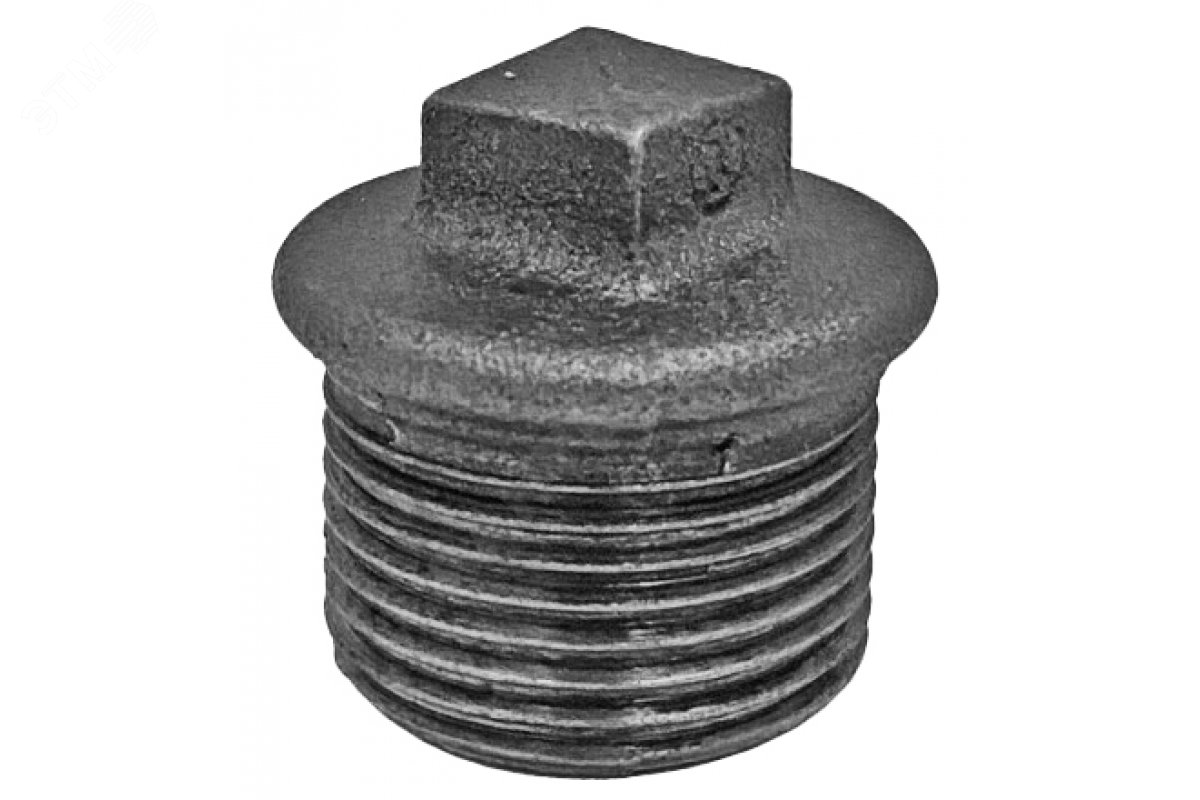 Изображение товара Заглушка чугунная Ду25 (1') НРЗаглушка чугунная Ду25 (1') НР (шт)