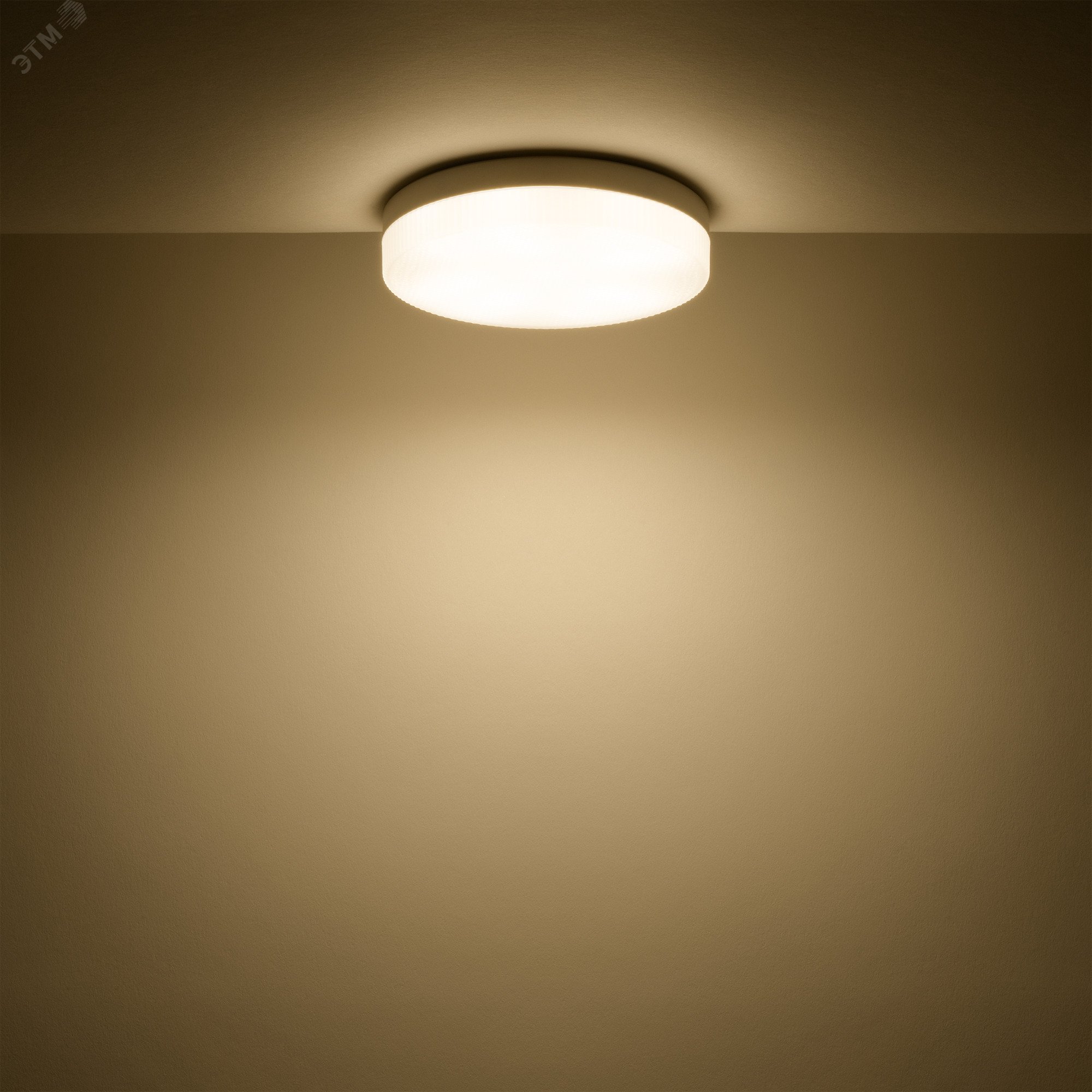 Лампа светодиодная LED 11.5 Вт 1095 лм 3000К AC180-240В GX53 таблетка теплая Basic 20849112 GAUSS - превью 3