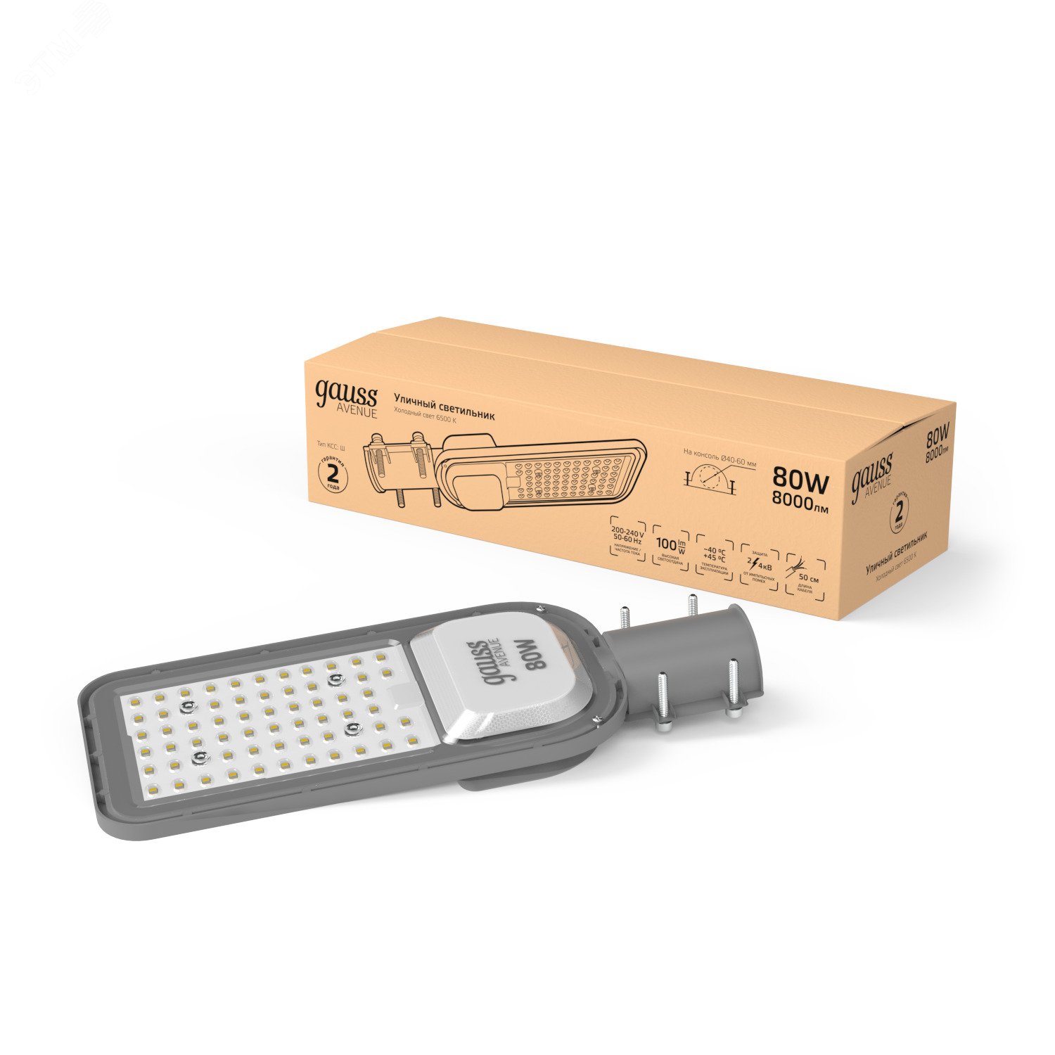 Изображение товара Уличный светильник Gauss LED Avenue 80 Вт 8000 лм IP65 консольный