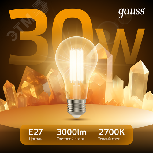 Лампа светодиодная филаментная LED 30 Вт 3000 лм 2700К А70 груша теплый E27 AC 220В прозрачная колба Black Filament - фото 3