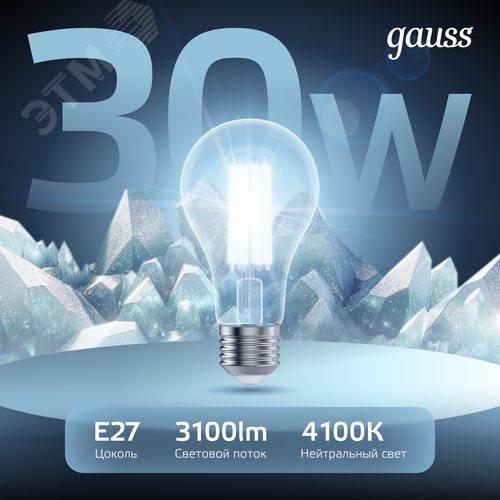 Лампа светодиодная филаментная LED 30 Вт 3100 лм 4100К А70 груша нейтральный E27 AC 220В прозрачная колба Black Filament - фото 3