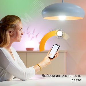 Лампа светодиодная умная 10 Вт 1055 лм 2700К AC 220-240В E27 А60 (груша) Управление по Wi-Fi, диммируемая Smart Home Gauss 1070112 GAUSS - 5