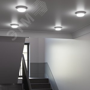 Светильник светодиодный ДБП 12 Вт 1200 лм 4000К AC 220В Белый IP65 круг D140х48мм Пластик ЖКХ Elementary - фото 6