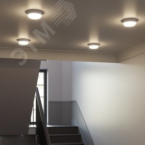 Светильник светодиодный ДБП 12 Вт 940 лм 4000К AC 220В Белый IP65 круг D140х48мм Пластик ЖКХ с оптико-микроволновым датчиком движения Elementary - фото 5