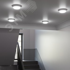 Светильник светодиодный ДБП 15 Вт 1200 лм 6500К AC 220В Белый IP65 круг D155х52мм Пластик ЖКХ Elementary - фото 5