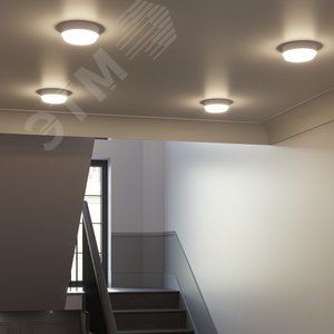 Светильник светодиодный ДБП 8 Вт 680 лм 4000К AC 220В Белый IP65 круг D140х48мм Пластик ЖКХ LITE - фото 5