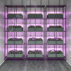 Светильник светодиодный для растений фитосветильник ДПО 8 Вт IP20 561х25х37 мм Fito - фото 5