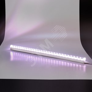 Светильник светодиодный ДПО-10вт Fito 3000K,572   х25х33мм,прозрачный(полный спектр свечения)Gauss
