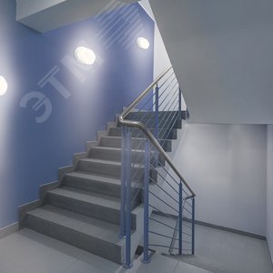 Светильник светодиодный ДБП 8 Вт 680 Лм 4000К AC 220В белый IP65 овал 160х90х46 мм пластик ЖКХ LITE - фото 4