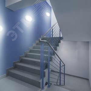 Светильник светодиодный ДБП 12 Вт 980 Лм 6500К AC 220В белый IP65 овал 160х90х46 мм пластик ЖКХ LITE - фото 4