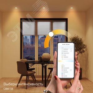 Светильник светодиодный умный 16 Вт 1500 лм 2700К AC 220-240В Управление по Wi-Fi, диммируемая Smart Home Gauss 2020122 GAUSS - 5