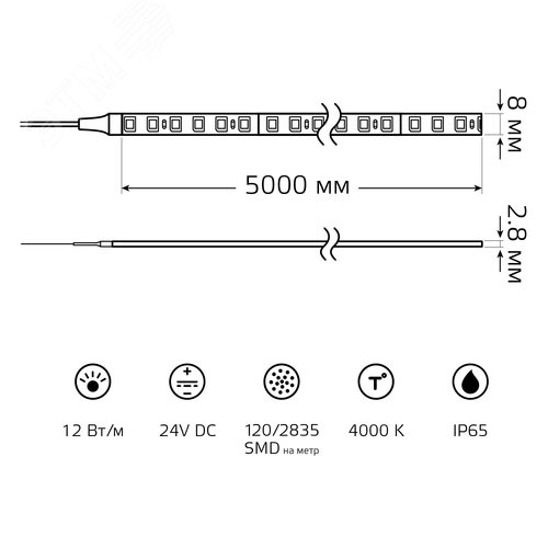 Лента светодиодная 12 Вт/м DC 24В 4000К IP65 120LED SMD2835 1400 лм/м Black Gauss - фото 8