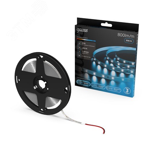 Лента светодиодная 6 Вт/м DC 24В 6500К IP65 60LED SMD2835 800 лм/м Black Gauss - фото 2