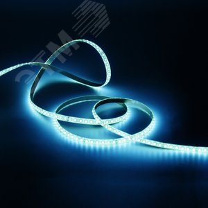 Лента светодиодная 9.6 Вт/м DC 12В 6500К IP20 120LED SMD2835 420 лм/м Black - фото 4